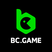 BC App Review Comprehensive Insights on the BC Platform