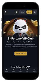 Bitfortune Live Crypto Casino Exploring the Future of Online Gambling
